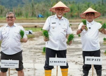 Gubernur Sumbar: Rehabilitasi Sawah Terdampak Bencana Tuntas, Kini Fokus Tangani Lahan Rusak Berat