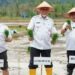 Gubernur Sumbar: Rehabilitasi Sawah Terdampak Bencana Tuntas, Kini Fokus Tangani Lahan Rusak Berat