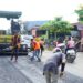 Progres Sudah 90 Persen, Jalan Simpang Koto Agung–Blok C Sitiung I Segera Tuntas