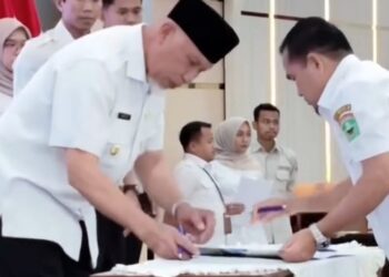 Pemkab Solok Tetapkan 21.067 Hektare LP2B untuk Lindungi Lahan Pertanian