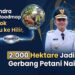Dari Kebun ke Pasar Dunia, Kabupaten Solok Siapkan 2.000 Hektare Lahan Kopi