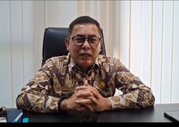 Karhutla Tekan Kualitas Udara Sumbar, BPBD Minta Warga Kurangi Aktivitas di Luar