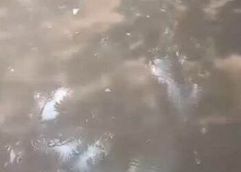 Air Sungai Koto Balai Menghitam, Warga Duga Tercemar Limbah Pabrik Sawit