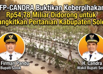 Pertanian Bangkit Pascabencana, Pemkab Solok Gelontorkan Rp54,78 Miliar