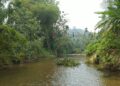 Nagari Banai Tetapkan Lubuak Larangan, Warga Sepakat Jaga Kelestarian Sungai