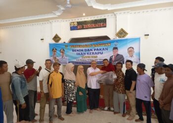 Kerapu Sumbar Dilirik Pasar Ekspor, Pembudidaya Dihadapkan Kematian hingga 50 Persen