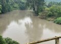 Belum Usai Persoalan Limbah Agustus, Sungai Batang Siat Kembali Menghitam dan Berbau, PT DSL Bungkam