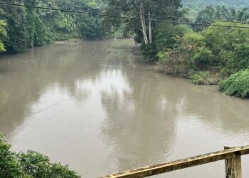 Belum Usai Persoalan Limbah Agustus, Sungai Batang Siat Kembali Menghitam dan Berbau, PT DSL Bungkam
