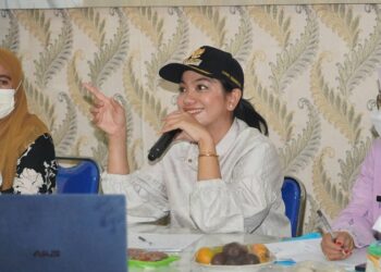 Dampak Asap Karhutla, Nakes di Dharmasraya Diminta Jemput Bola Tangani Pasien ISPA